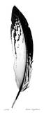 Feather I
