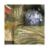 Buy Solace at AllPosters.com