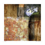 Buy Meditate at AllPosters.com