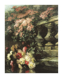 Buy Peonies at AllPosters.com