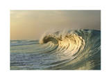 Outerbanks