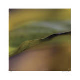 Autumn No 3