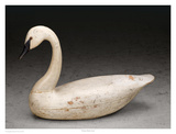 Charles Birch Swan
