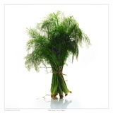 Baby Fennel