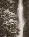 Multnomah Falls