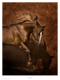 Horse Dancer