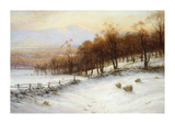 Buy Golden Glow at AllPosters.com