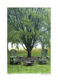 Moss Chairs