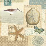 Buy Coastal Collage III at AllPosters.com