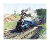 Buy Mallard at AllPosters.com
