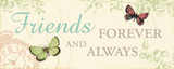 Buy Times Flies IV at AllPosters.com