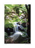 Peaceful Waterfall I