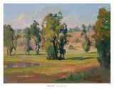 Spring's Splendor
