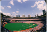 Busch Memorial Stadium St Louis Cardinals Archival Sports Photo Poster Print