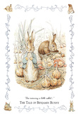 Beatrix Potter (The Tale Of Benjamin Bunny) Art Poster Print