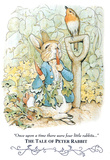 Beatrix Potter Tale Peter Rabbit Art Print POSTER cute