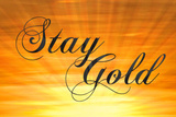 Stay Gold Ponyboy Print Poster