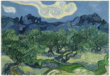 Vincent Van Gogh (The Olive Trees) Art Poster Print