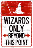 Wizards Only Beyond This Point Sign Poster