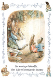 Beatrix Potter Benjamin Bunny Art Print Poster