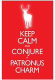 Keep Calm and Conjure a Patronus Charm Carry On Spoof Poster Print