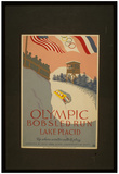 Lake Placid (Olympic Bobsled Run) Art Poster Print