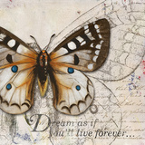 Buy Living your Dreams I at AllPosters.com