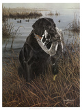 A Friend in the Marsh