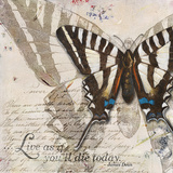 Living your Dreams II