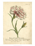 Non-Embellished Vintage Carnation