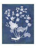 Nature's Imprint I