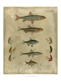 Pisces Composition I