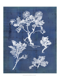 Nature's Imprint II