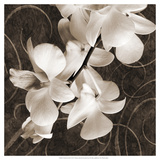 Orchid and Swirls I