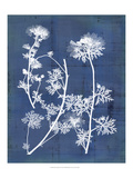 Nature's Imprint IV Giclee Print