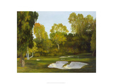The Ingenious 6th at Riviera