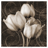 Tulip and Swirls I