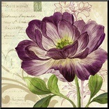 Study in Purple II