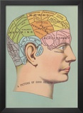 Phrenology Chart of Head