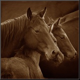 Tenderness