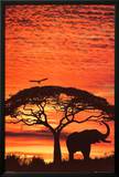 African Sunset