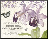 Jardin Botanique II