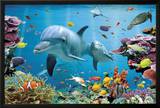 Tropical Underwater-Ocean