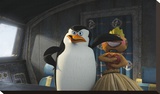 Buy Madagscar: Skipper, Head Penguin in Cockpit at AllPosters.com