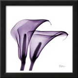 Violet Calla Twins II
