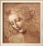 Buy Female Head (La Scapigliata), c.1508 at AllPosters.com
