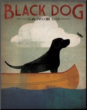 Black Dog Canoe