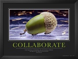 Collaborate
