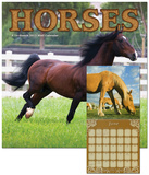Horses - 2013 Calendar