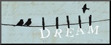 Birds on a Wire - Dream